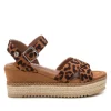 Zeppa Media Animalier REFRESH